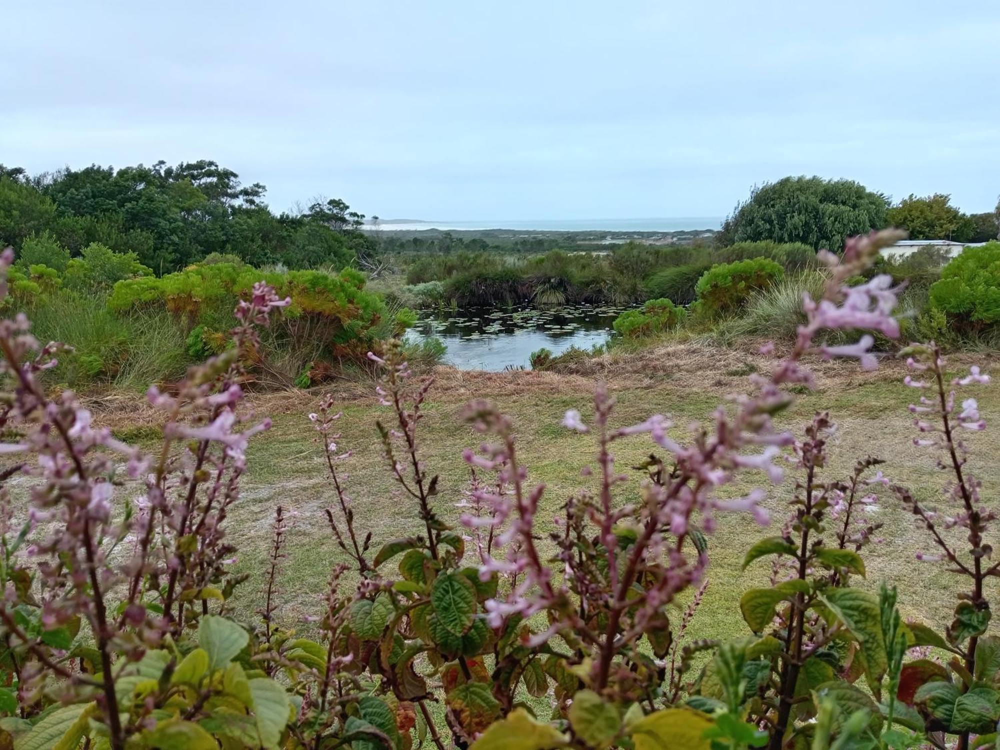 Blombos Self-Catering House Villa Franskraalstrand Exterior photo